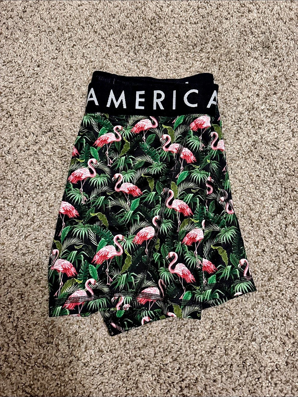 American Eagle Flex Shorts Flamingo Print boxers